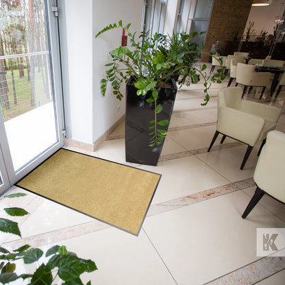 Tapis d’Entrée Professionnel – Couleur Unie
