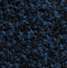 Black Blue