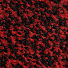 Black Scarlet