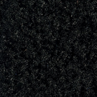 Raven Black