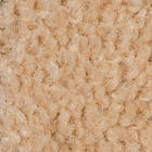 Sahara