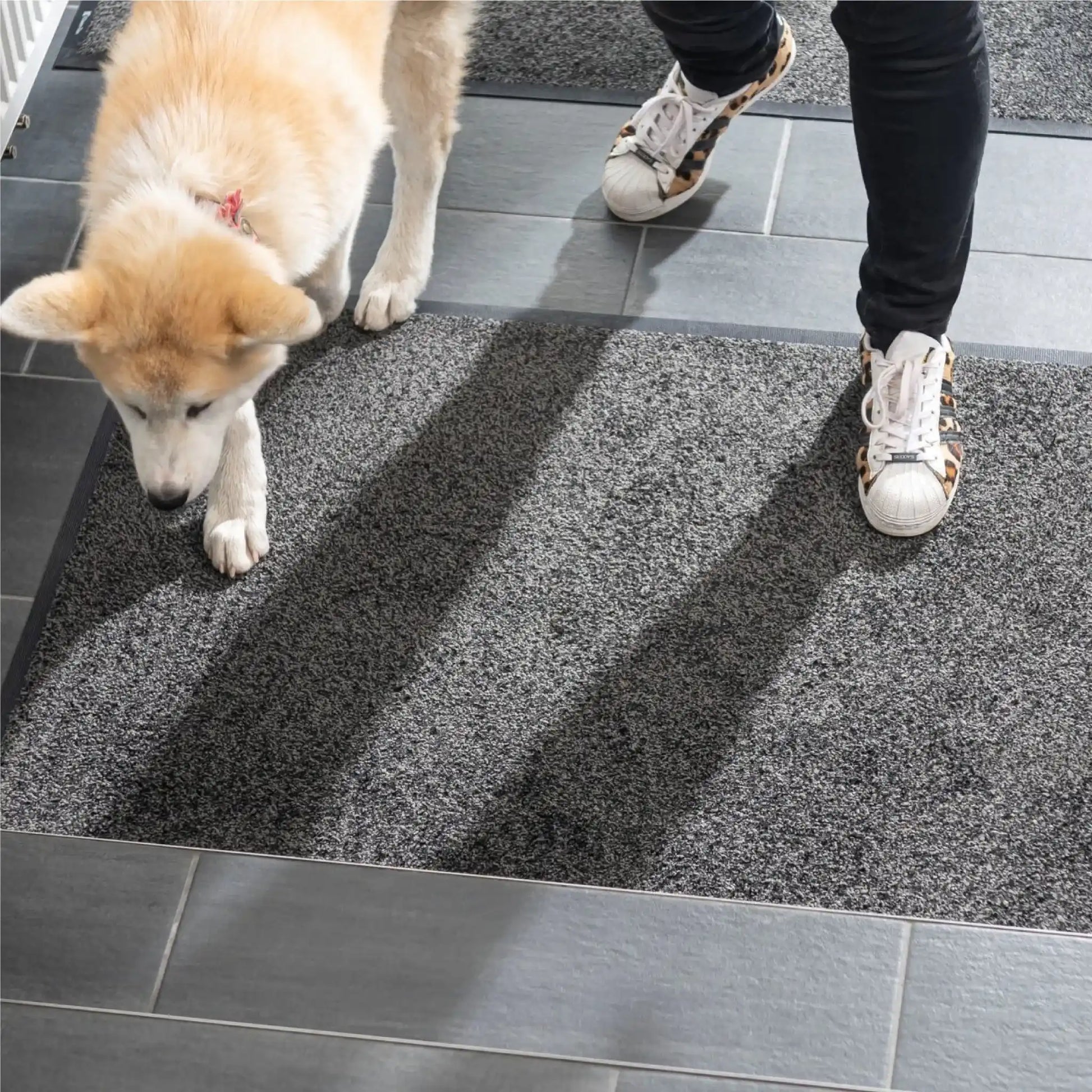 Tapis d’entrée professionnel écologique capturant la poussière et les débris apportés par les chaussures et les animaux domestiques.